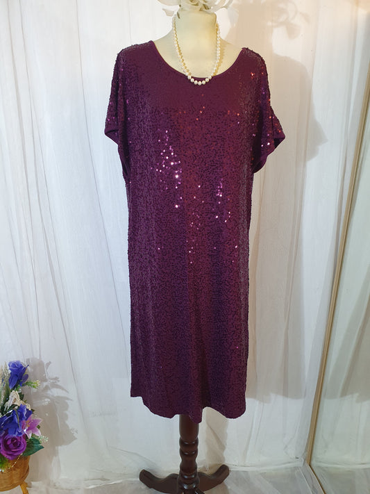 Size 16 Next sequined dress