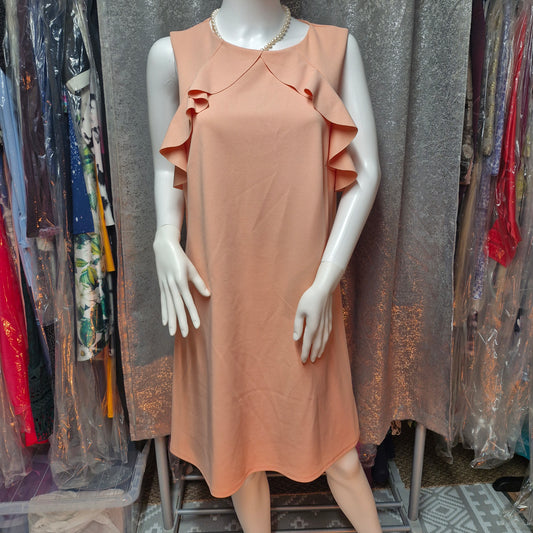 Size 16 dress